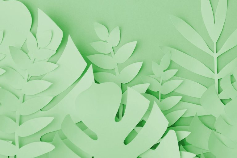 Forest Products Week