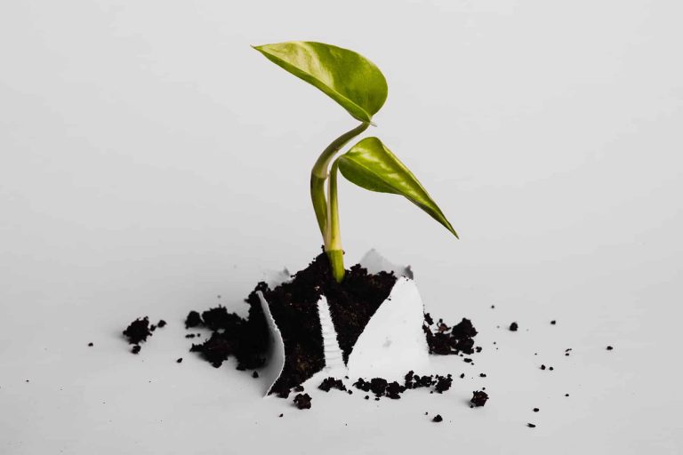 Forest Products Week