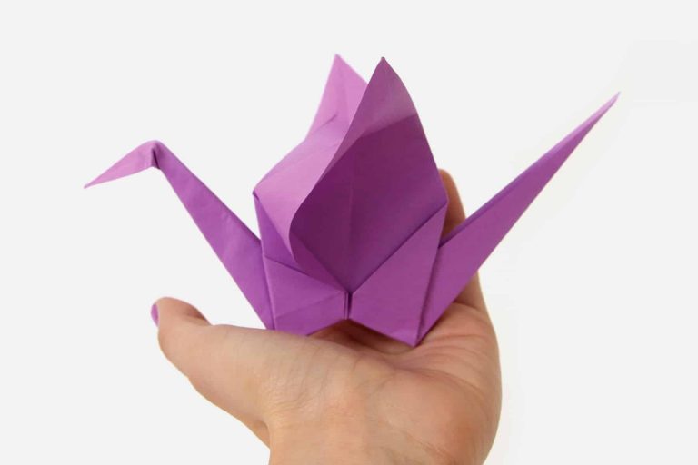 origami fun facts, PrintWorks