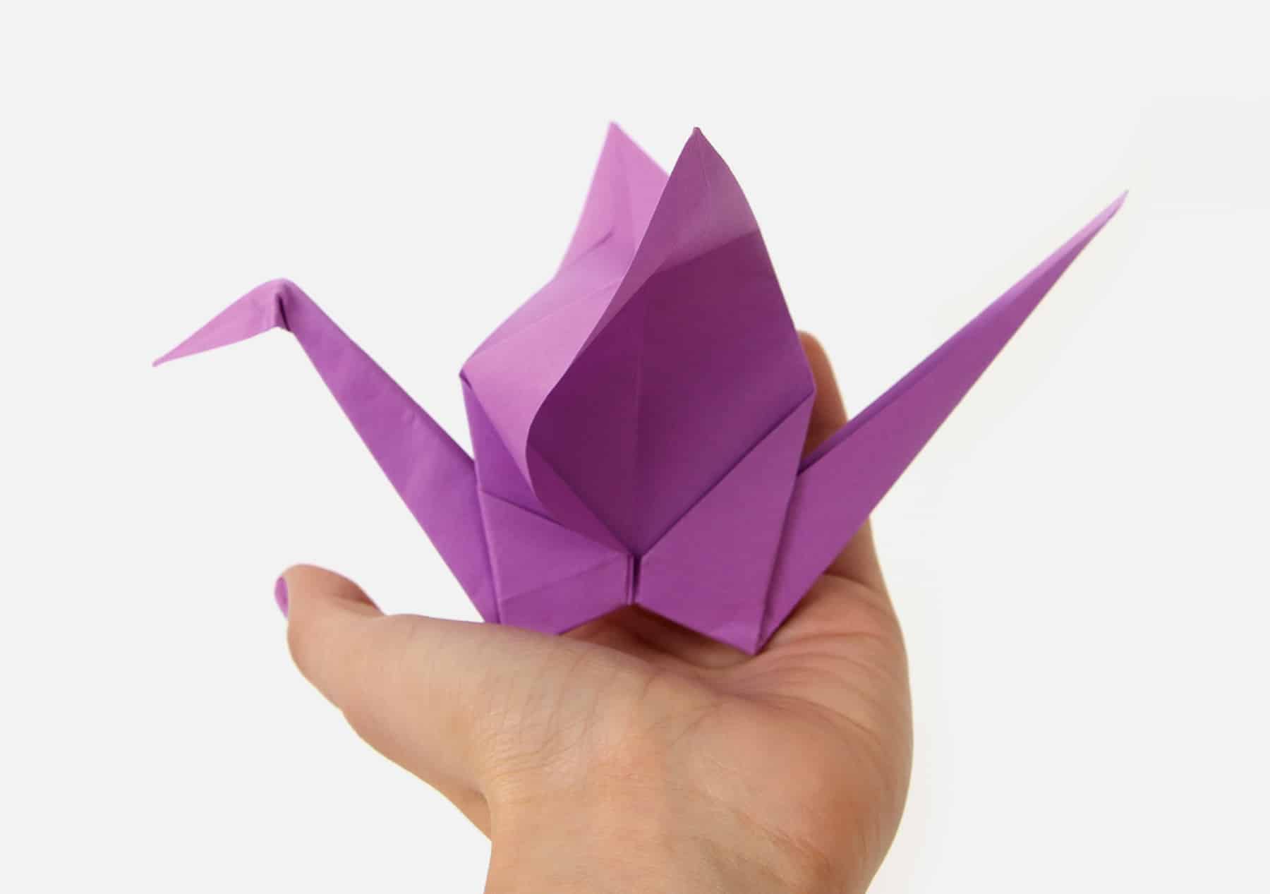 origami fun facts, PrintWorks