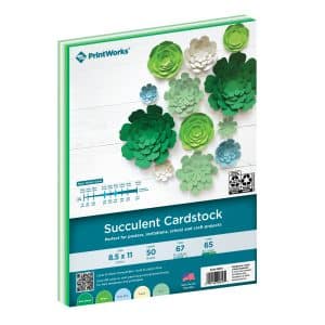 PrintWorks Succulent Cardstock