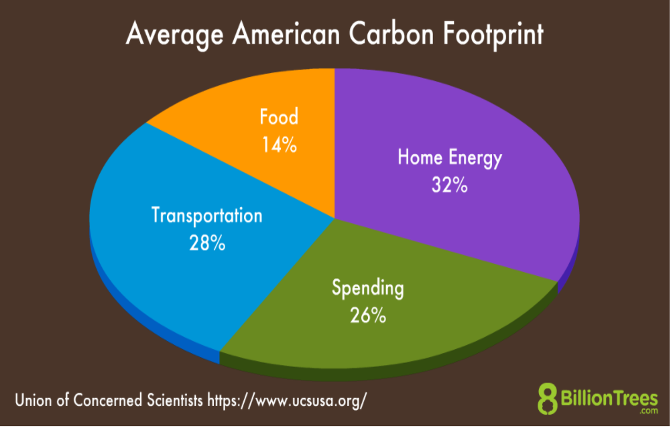 what's your carbon footprint